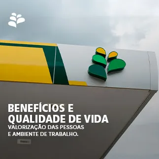 Imagem complementar 3 da empresa Comercial Amazônia de Petróleo Ltda