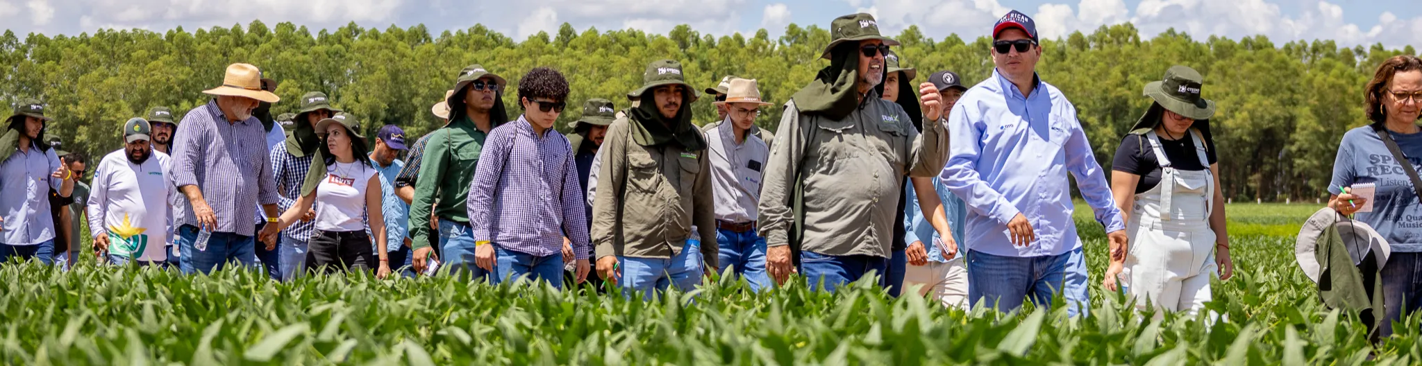 Imagem institucional 2 da empresa Aprosoja MT & IAGRO MT