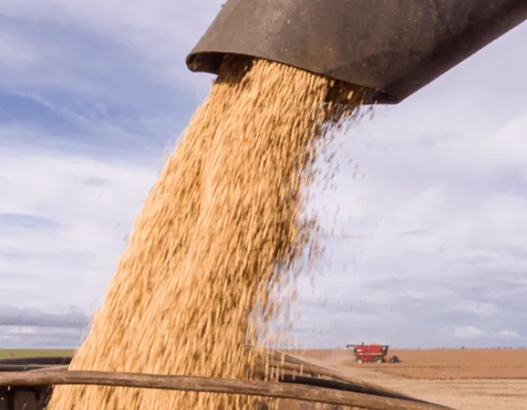 Imagem complementar 3 da empresa Aprosoja MT & IAGRO MT
