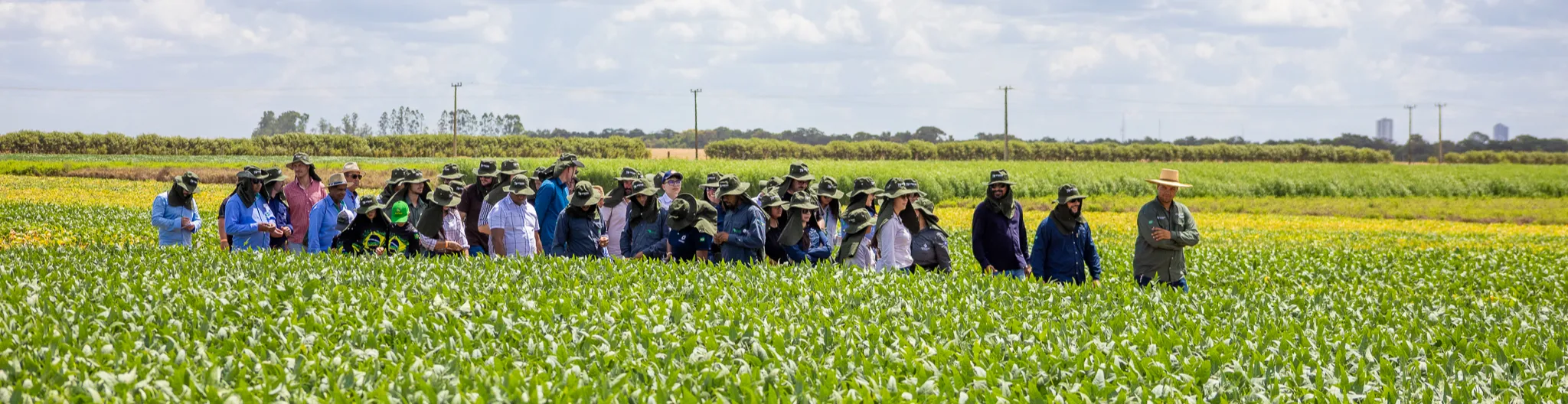 Imagem institucional 1 da empresa Aprosoja MT & IAGRO MT