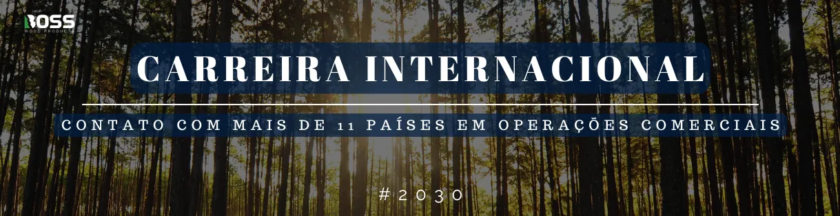 Imagem institucional 4 da empresa BOSS Wood Products