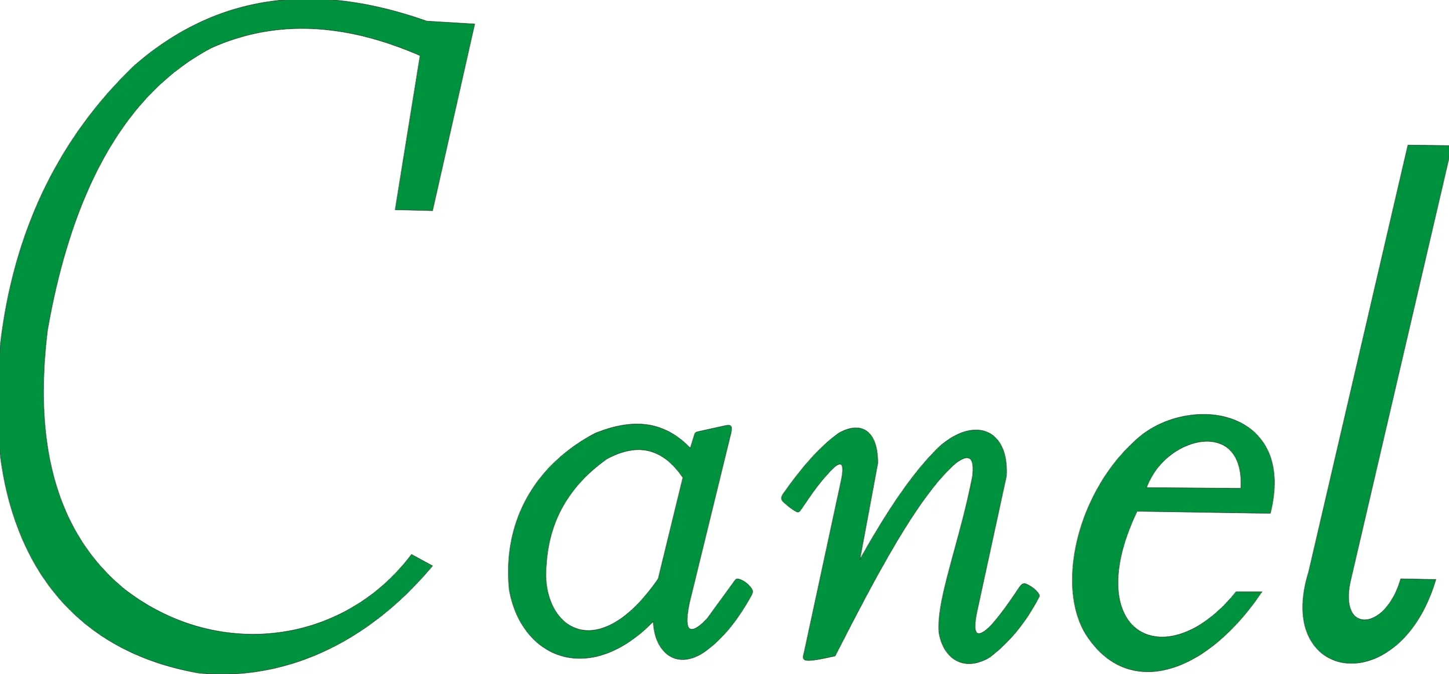 A fazenda CANEL integra um grupo de empresas que investe no Agronegócio, gerando empregos, renda e divisas para o Estado. A fazenda CANEL é uma das mais estruturadas propriedades rurais no Sul do Piauí, instalada no município de Uruçuí, é resultado do esforço e trabalho da família Bortolozzo junto a todos os seus colaboradores. Safra de alta qualidade, modernas tecnologias e pessoas qualificadas, movimentam o Agronegócio do cerrado piauiense e a fazenda CANEL está sempre na busca pela excelência e para se tornar referência agrícola no Piauí. Também faz parte do grupo de empresas, a LAVORO, com beneficiamento de algodão, fábrica de ração, extrusora, aviários e loja de ração.