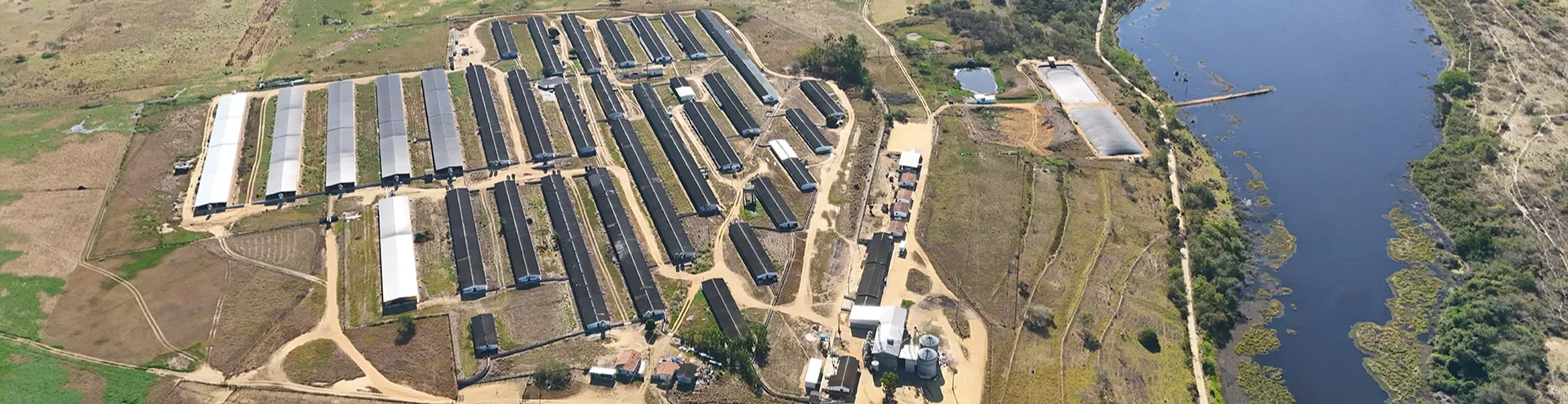 Granja - Vitória da Conquista/BA