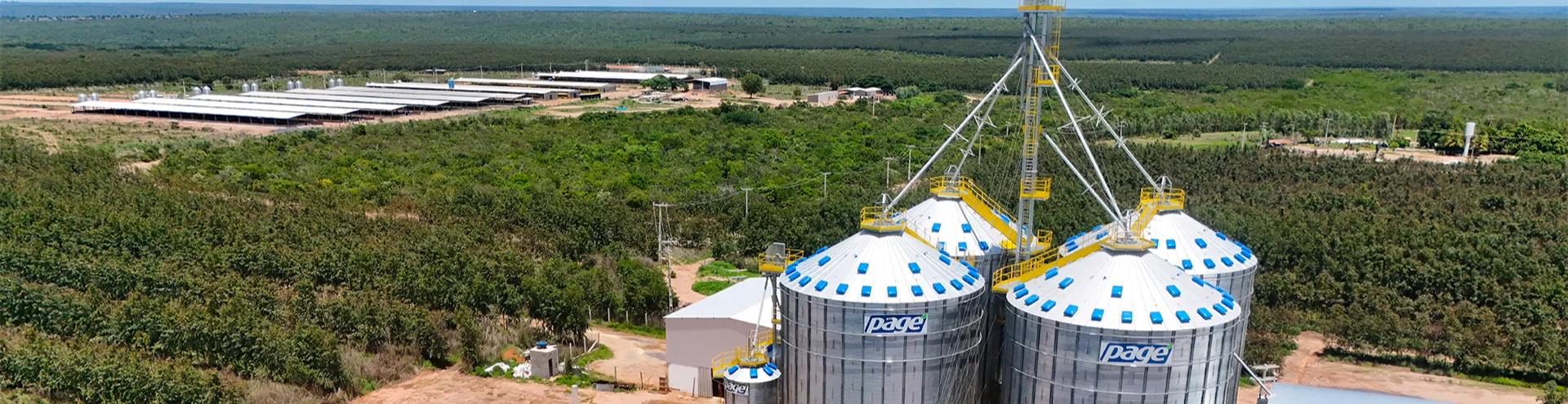 Granja - São Desidério/BA