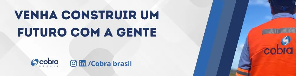 Imagem institucional 3 da empresa Grupo Cobra Brasil