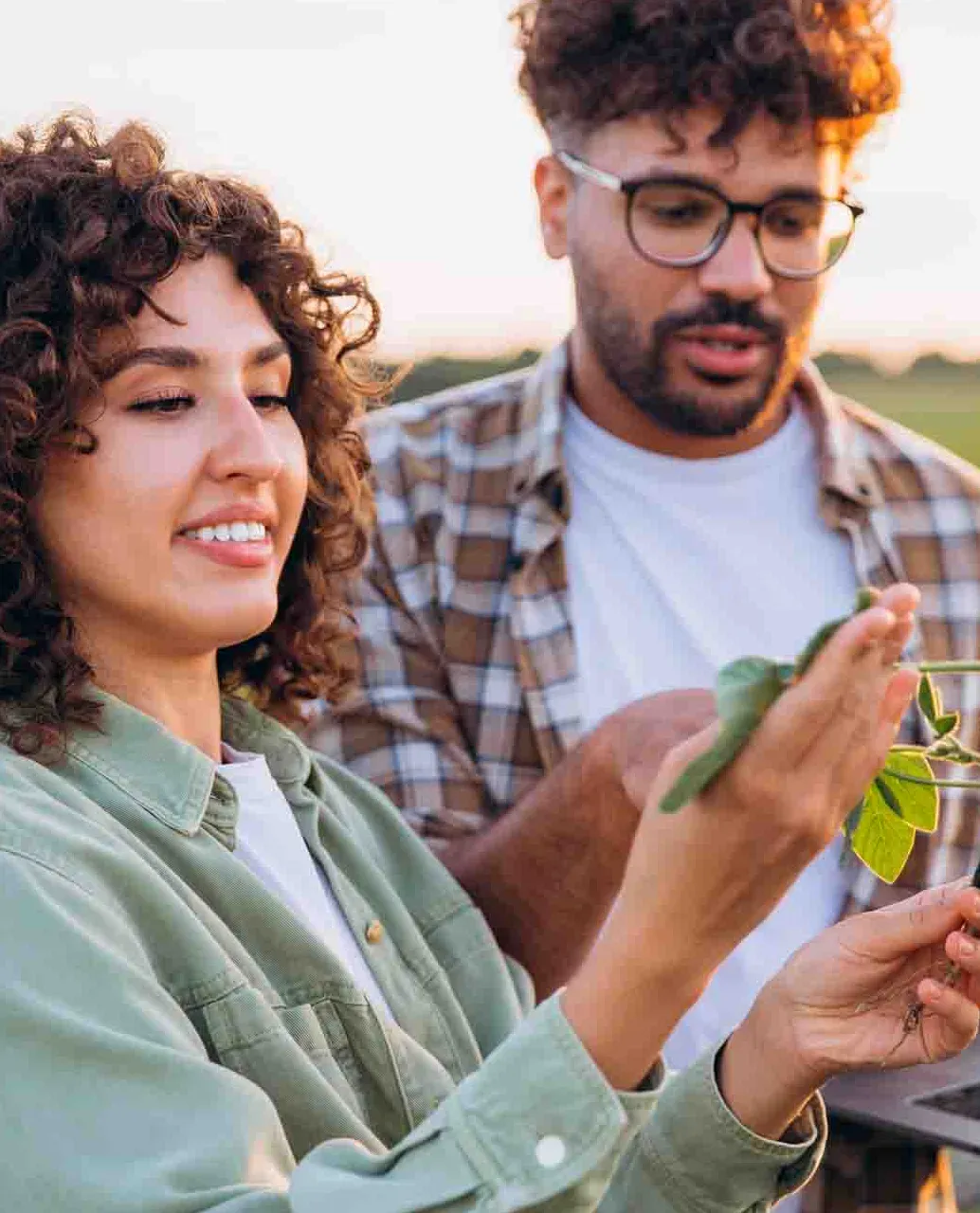 Imagem complementar 2 da empresa Fortgreen