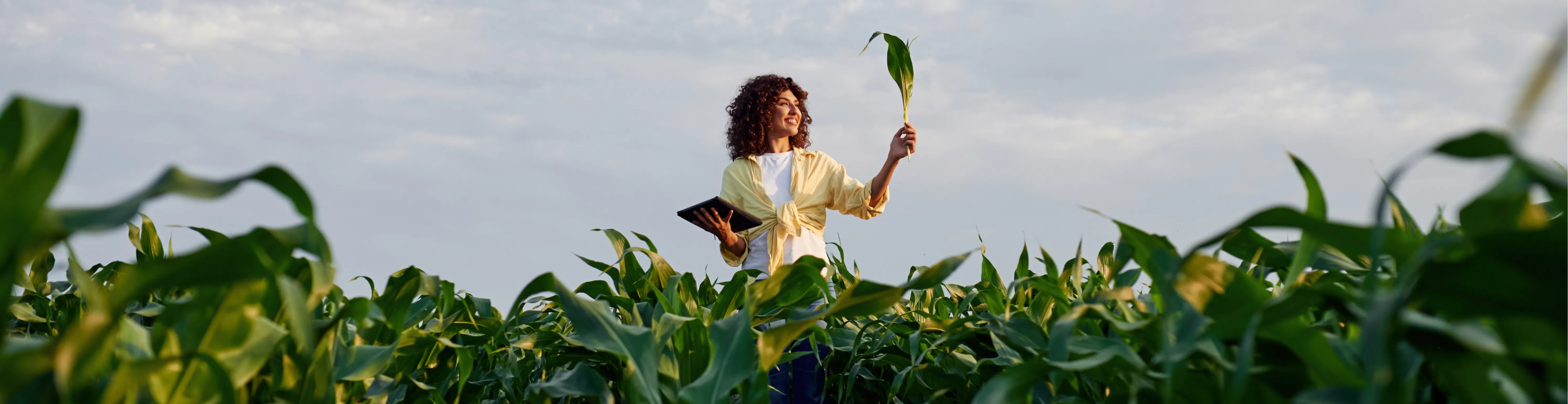 Imagem institucional 1 da empresa Fortgreen