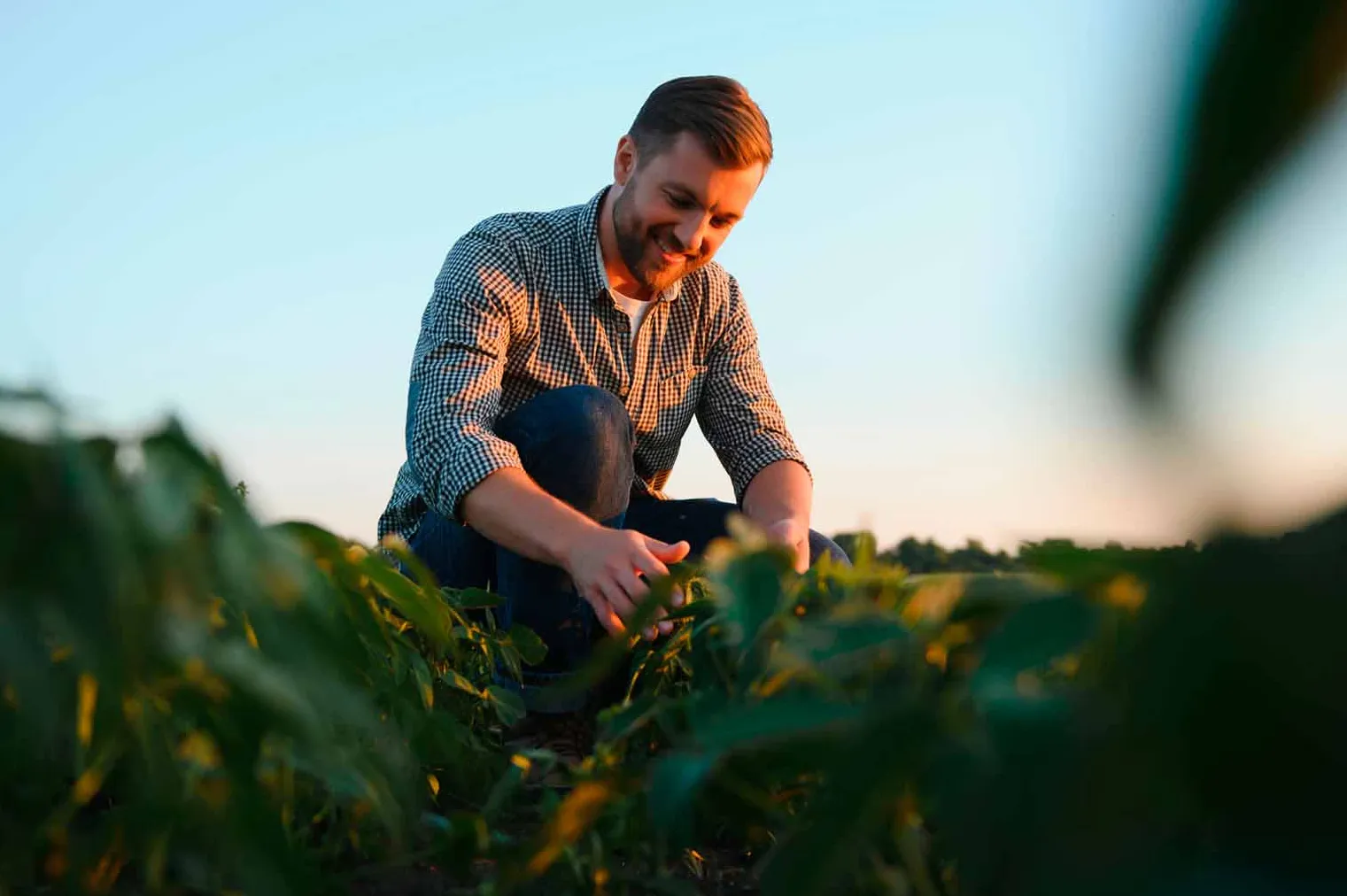 Imagem complementar 3 da empresa Fortgreen