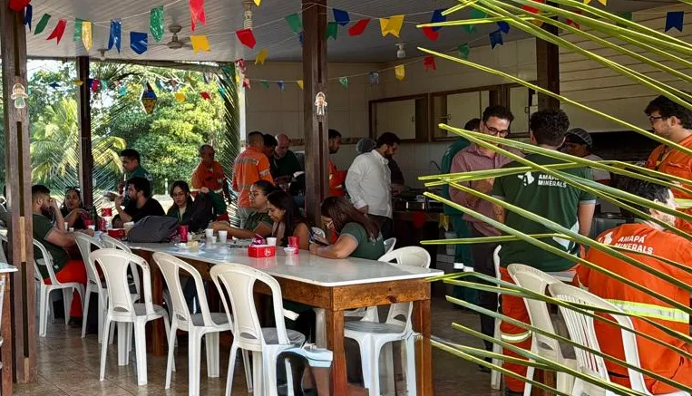 Imagem complementar 1 da empresa Amapá Minerals
