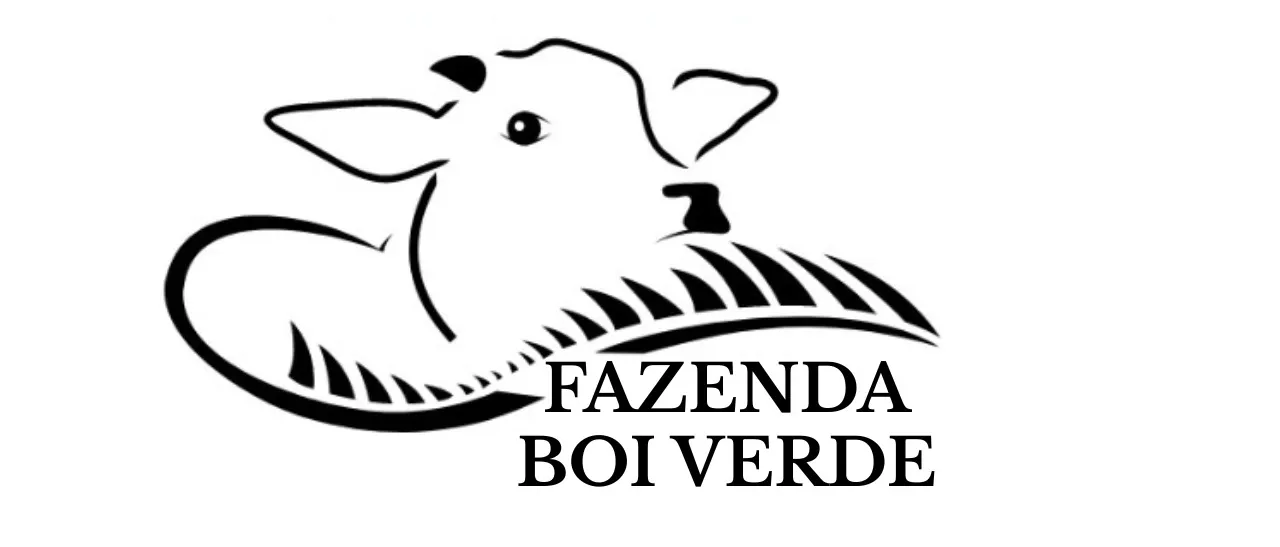 Logo da empresa FAZENDA BOI VERDE
