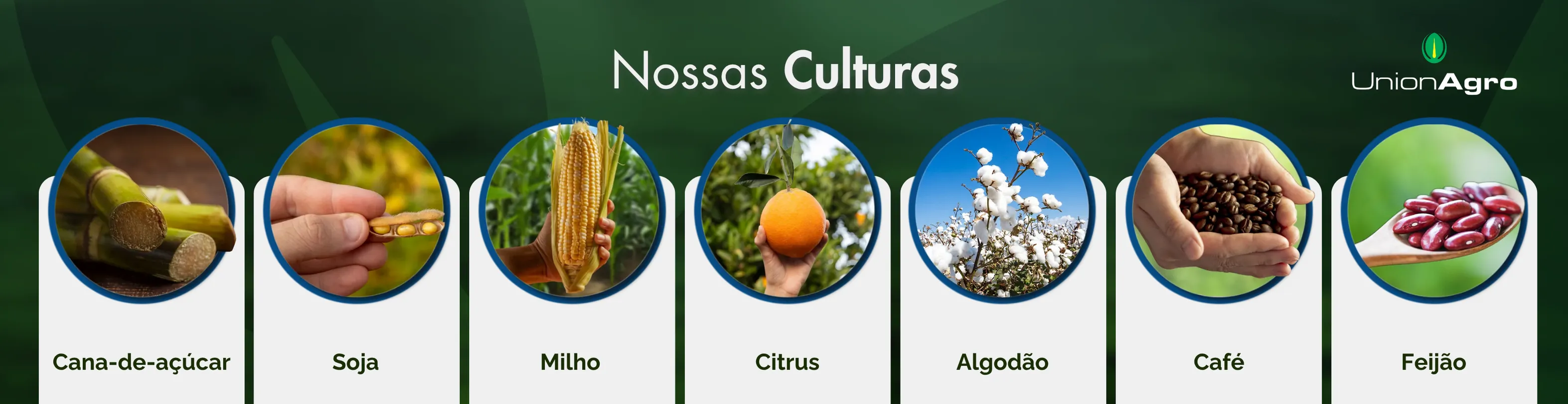 A imagem apresenta o título “Nossas Culturas” em destaque no centro superior, sobre um fundo verde que remete ao agronegócio e à sustentabilidade. À direita, está o logotipo da Union Agro, com o nome da empresa em branco e verde, acompanhado de um ícone de folha estilizada.
Na parte inferior, há sete cartões alinhados horizontalmente, cada um com uma fotografia circular representando uma cultura agrícola, seguida do nome correspondente em letras verdes:
Cana-de-açúcar – imagem de um colmo cortado, em tom natural de verde e marrom.
Soja – uma mão segura uma vagem aberta com grãos amarelos.
Milho – uma pessoa segura uma espiga madura no meio da plantação.
Citrus – uma mão colhe uma laranja madura em um pomar.
Algodão – ramo de algodoeiro com flores brancas sob um céu azul.
Café – mãos seguram grãos de café torrados.
Feijão – uma colher de madeira exibe grãos vermelhos de feijão.