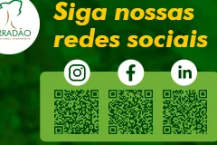 Cerradão