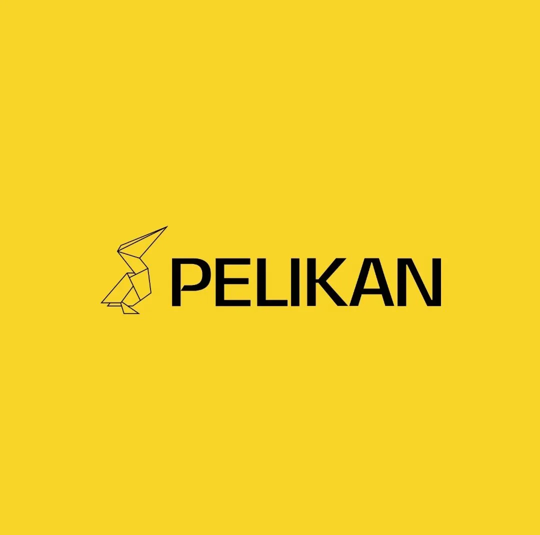 Imagem complementar 1 da empresa GRUPO PELIKAN / FLYNOW