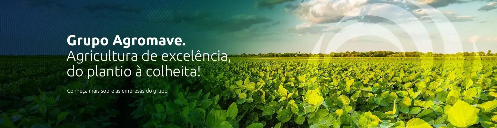 Imagem institucional 4 da empresa Agromave