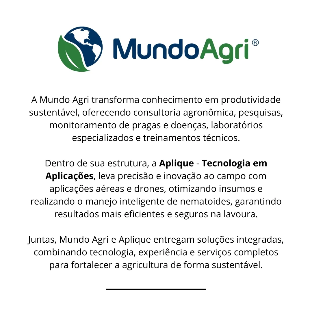Imagem complementar 2 da empresa Agromave