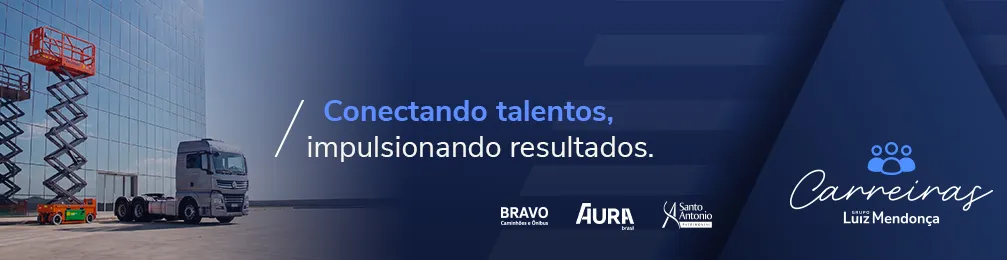 Imagem institucional 1 da empresa Grupo Luiz Mendonça