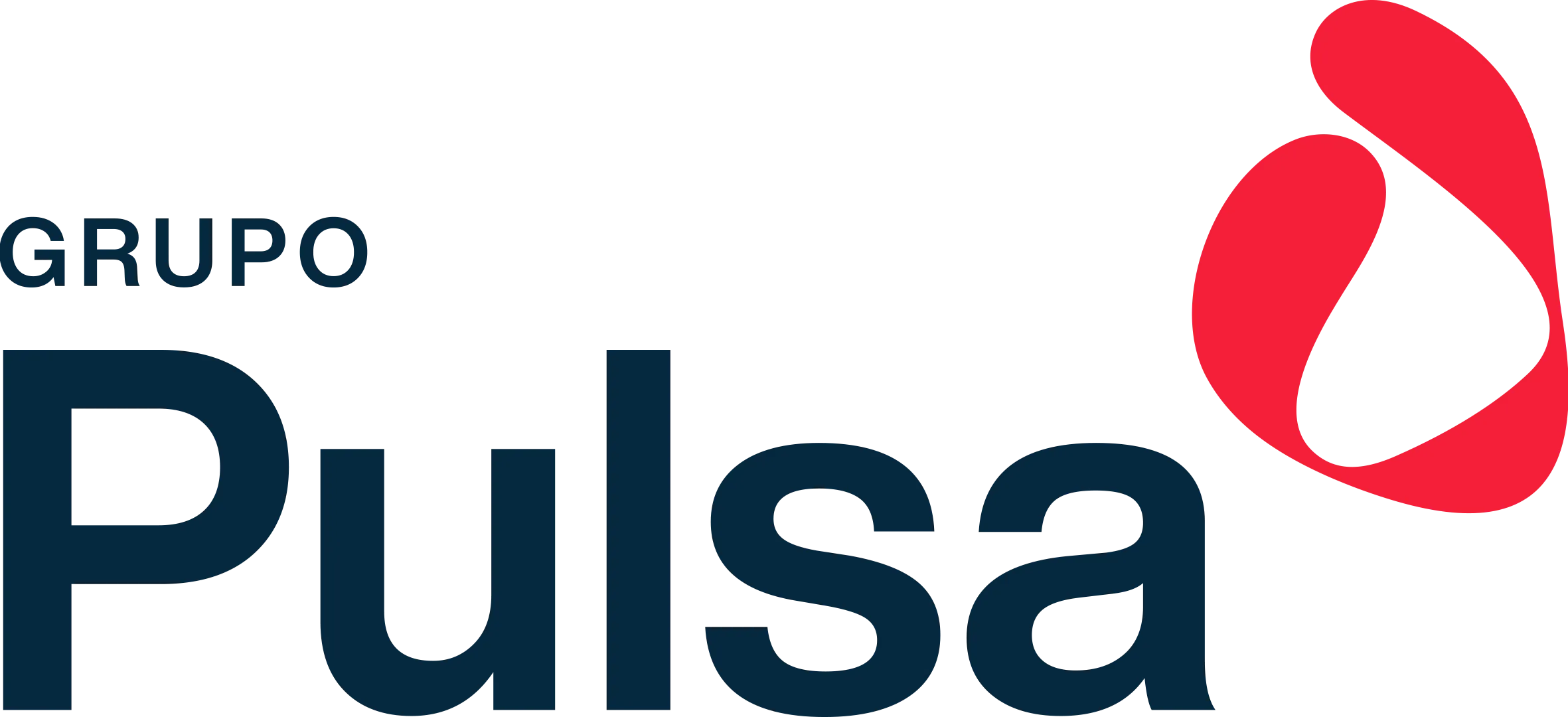 Logo do Grupo Pulsa