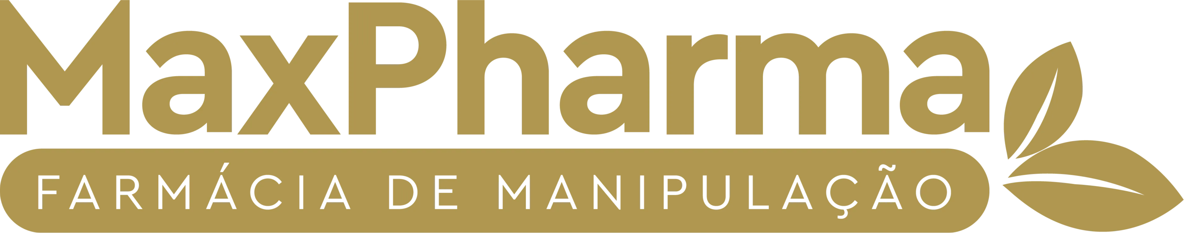 Logo da empresa MaxGroup