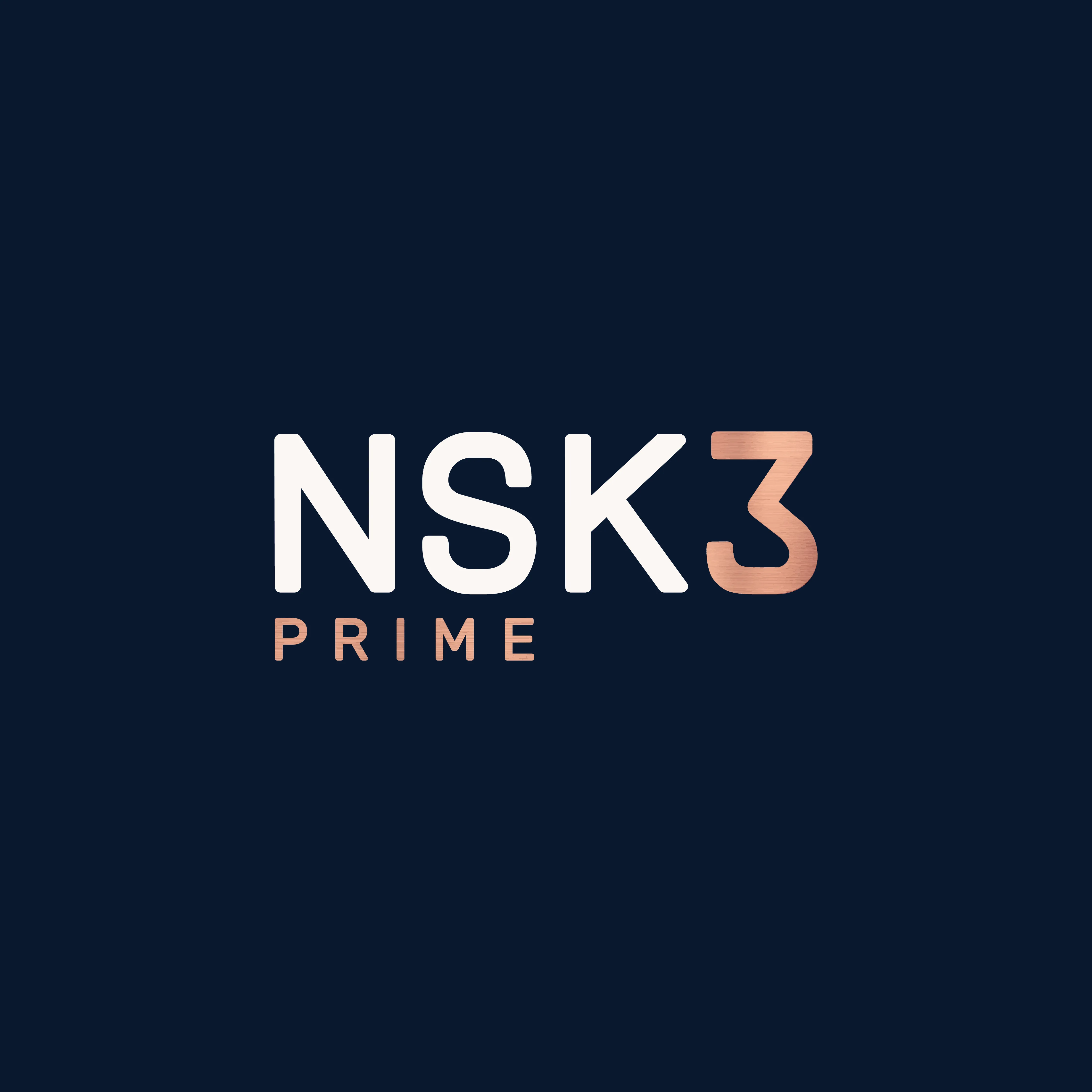 Logo da empresa NSK3