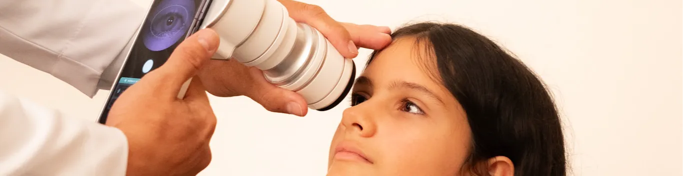 Imagem institucional 2 da empresa Phelcom Technologies