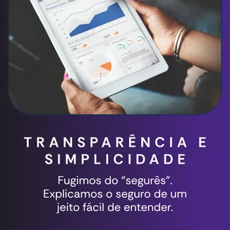 Imagem complementar 2 da empresa POLLO corretora