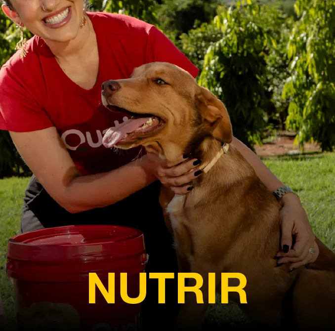 Imagem complementar 3 da empresa Qualis Nutrição Animal