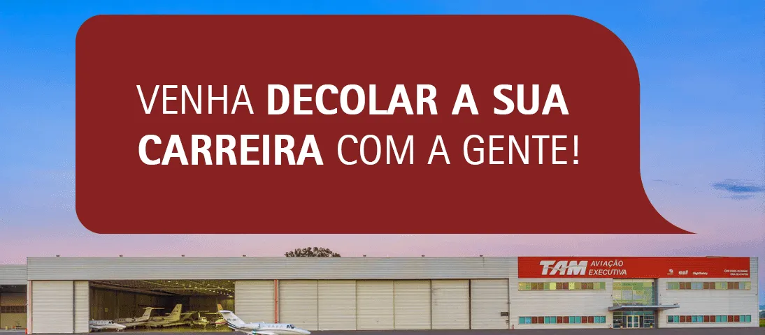 Logo em cor bordô da Tam Aviação Executiva.
