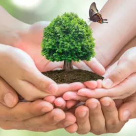 Além de qualidade nos seus serviços a Tema tem uma preocupação constante com o Meio Ambiente, fiscalizando periodicamente seus veículos quanto a emissão de fumaça preta e ainda em suas instalações prioriza todos os cuidados necessários para a preservação da natureza.