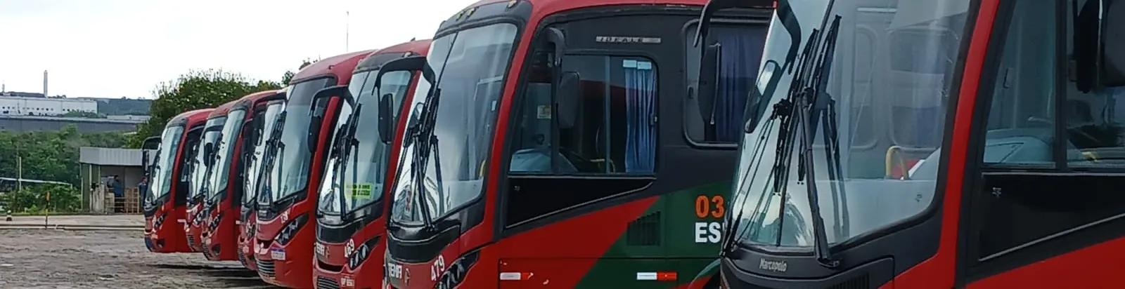 Imagem institucional 1 da empresa TEMA TRANSPORTES