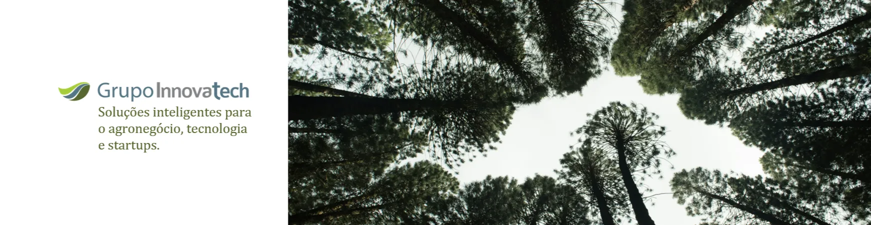 Imagem institucional 3 da empresa Innovatech