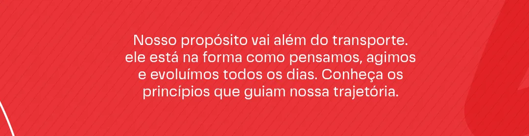 Imagem institucional 3 da empresa ENTREGA JÁ