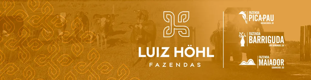 Fundo em tons de laranja com rebanho de gado ao fundo e trator. No centro, logotipo do Grupo Luiz Höhl com o texto: Luiz Höhl Fazendas. À direita, nomes e localizações de três fazendas: Pica-Pau (Mozarlândia-GO), Barriguda (São Domingos-GO) e Maiador (Guaraci-GO).