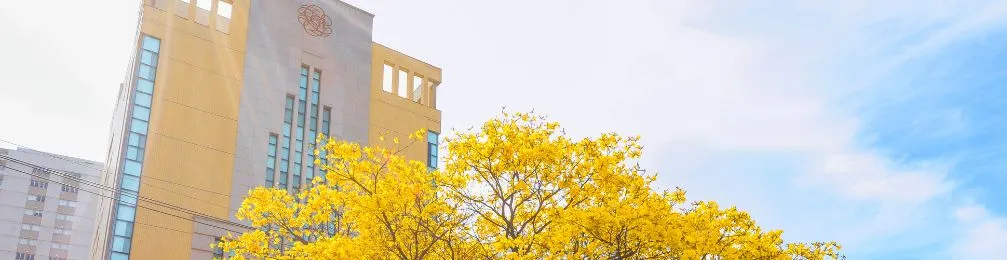 Imagem institucional 1 da empresa Associação Brasil SGI (BSGI)