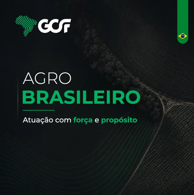 Imagem complementar 2 da empresa Grupo GCF