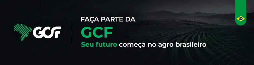 Imagem institucional 3 da empresa Grupo GCF