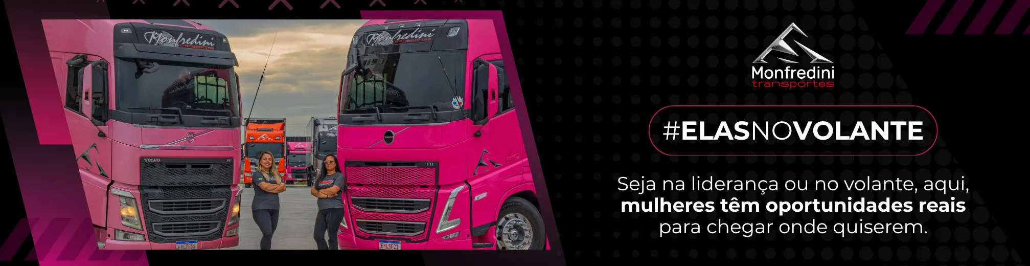 Imagem institucional 2 da empresa Monfredini Transportes