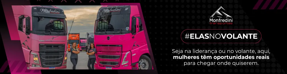 Imagem institucional 2 da empresa Monfredini Transportes