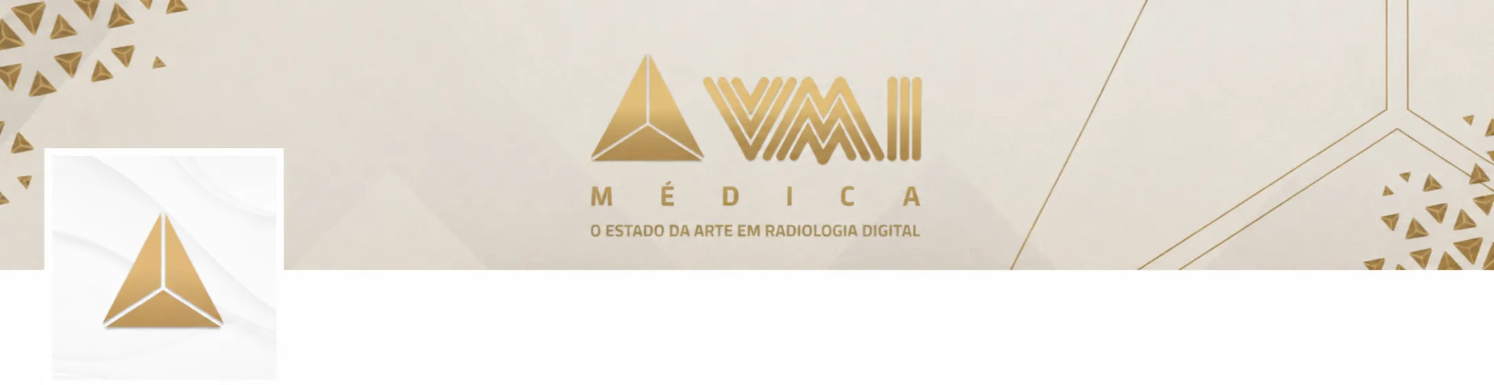 Imagem institucional 1 da empresa VMI MEDICA
