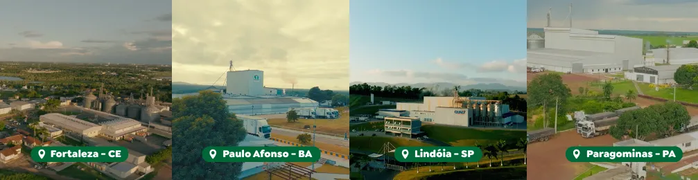 Imagem institucional 3 da empresa Integral Agroindustrial