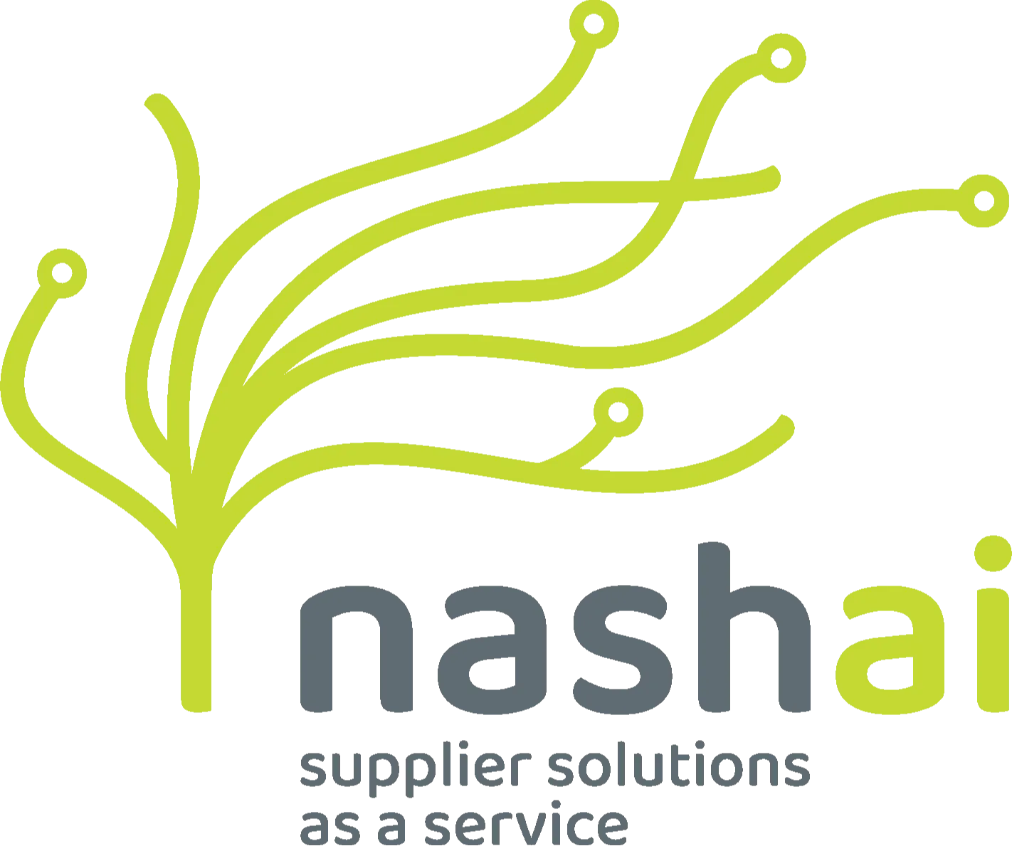 Logo da empresa nashai
