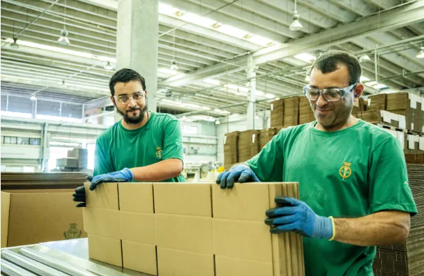 Imagem complementar 2 da empresa VIP PAPELÃO ONDULADO